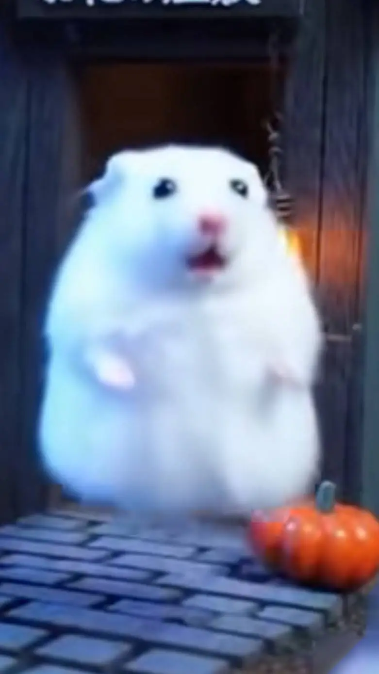 ai character: ghost hamster background