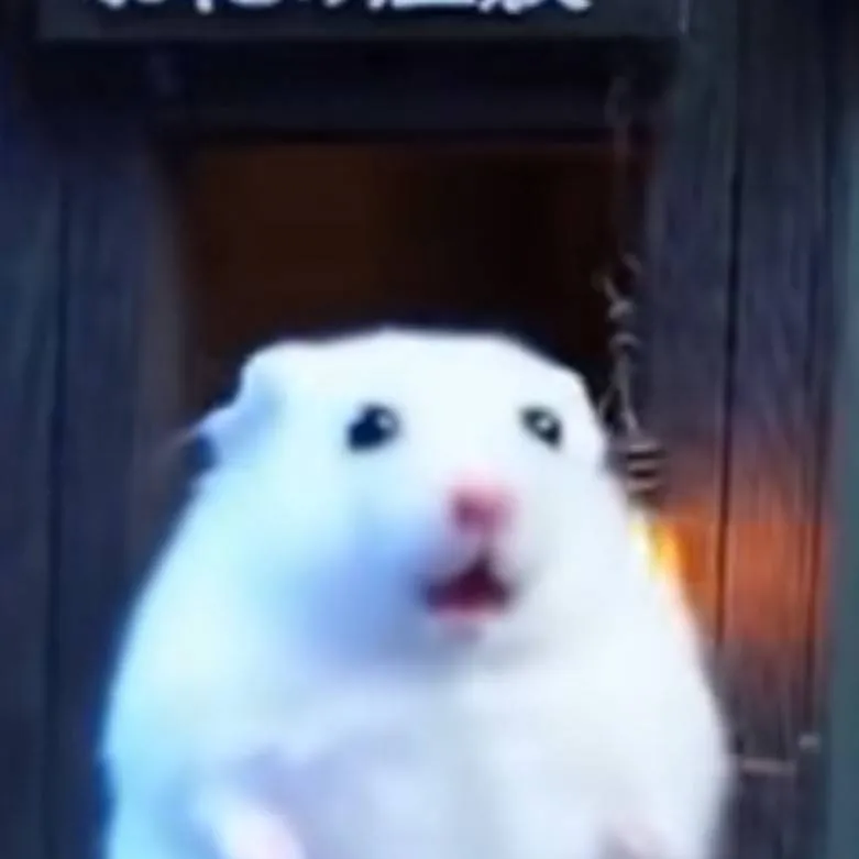 chat with ai character: ghost hamster