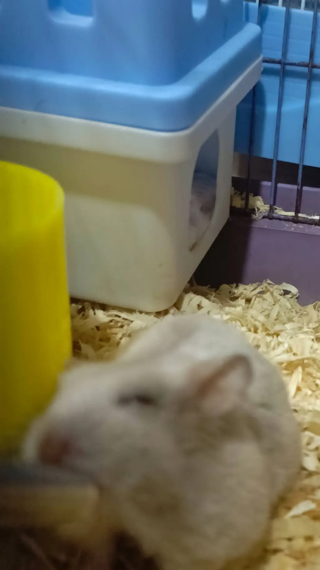 ai character: luna but in real background