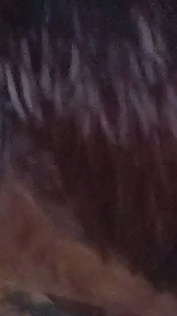 ai character: lucas 2 background