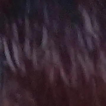 chat with ai character: lucas 2