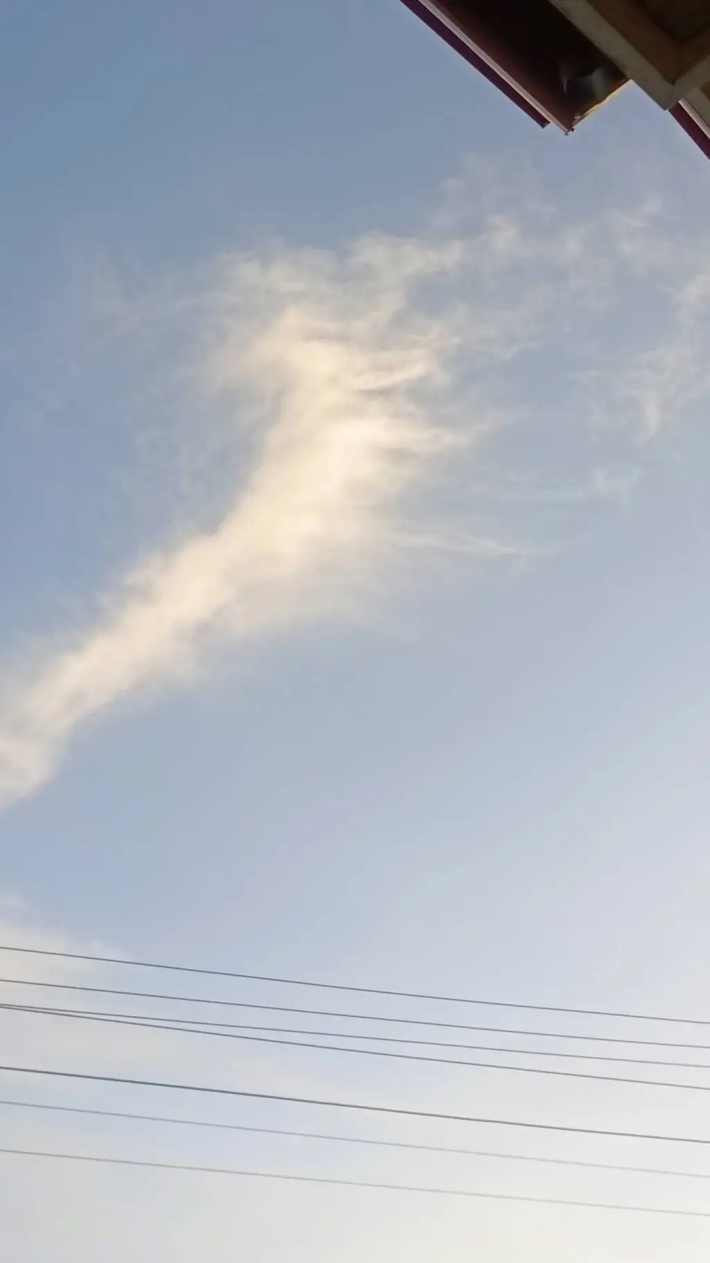 ai character: Coolest schoolever background