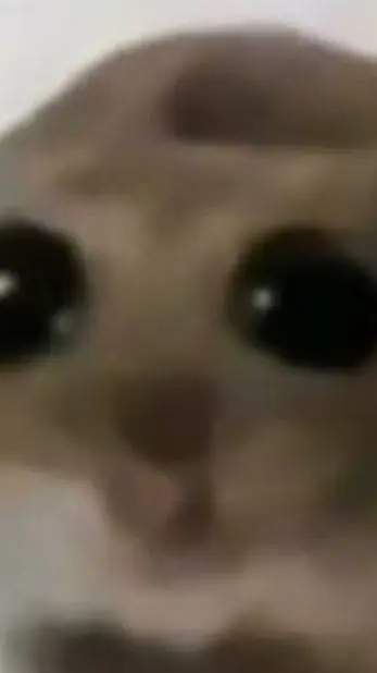 ai character: Hamster family background