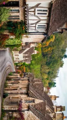 ai character: The  countryside! background