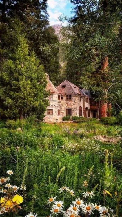 ai character: • Cabin Trip • background