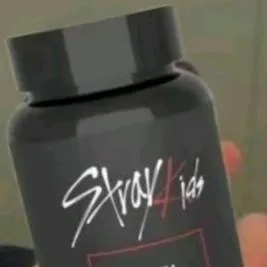 chat with ai character: skz