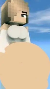 ai character: minecraft gf  background