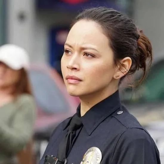 chat with ai character: officer lucy chen 