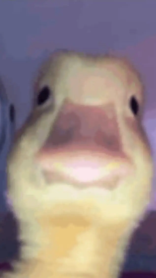 ai character: duck background