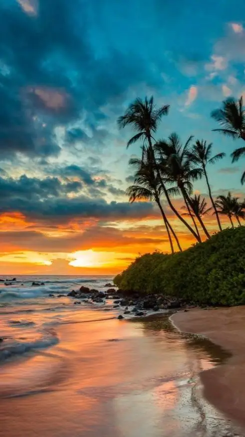 ai character: dw vacation background