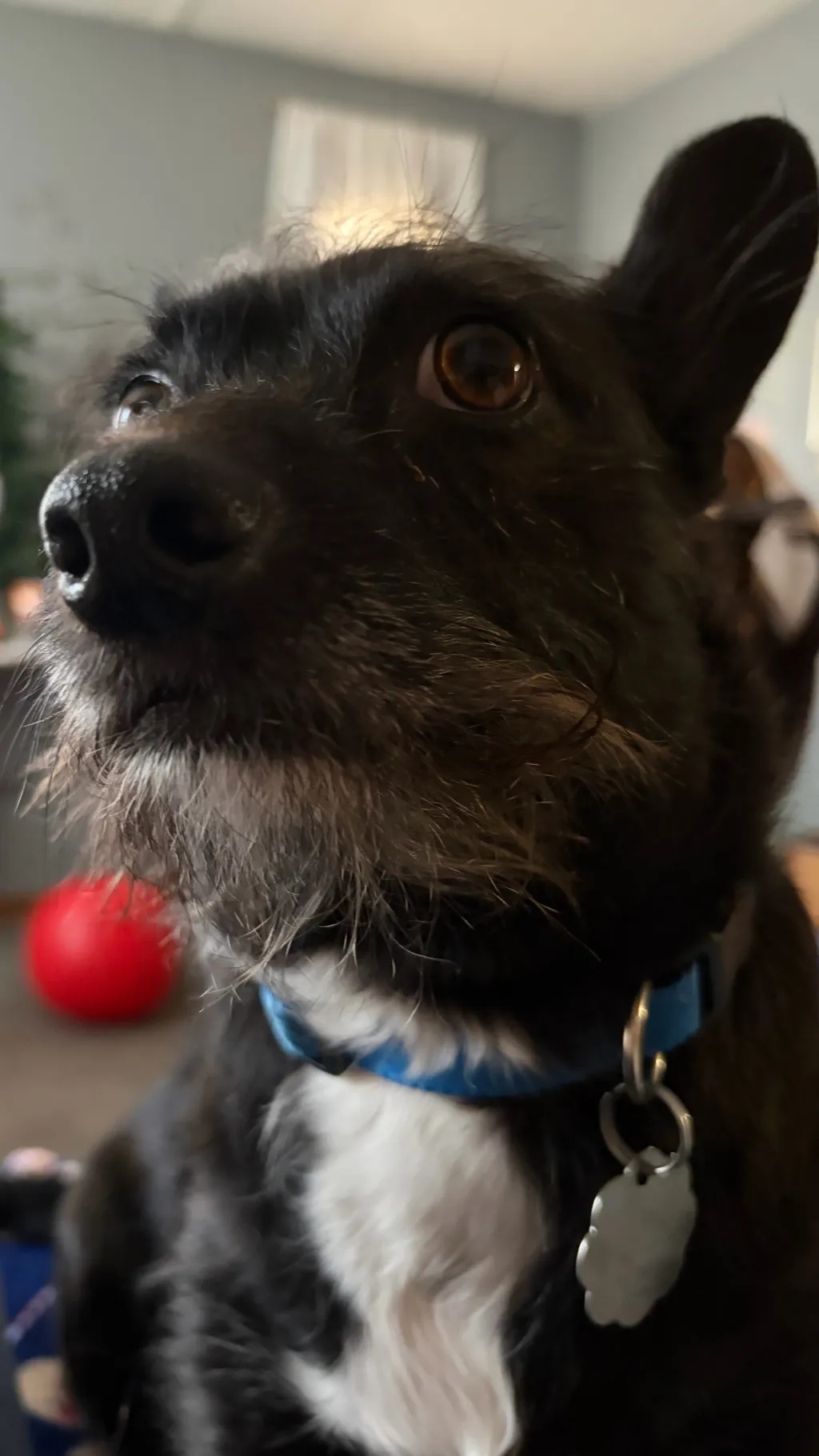 ai character: Jake background