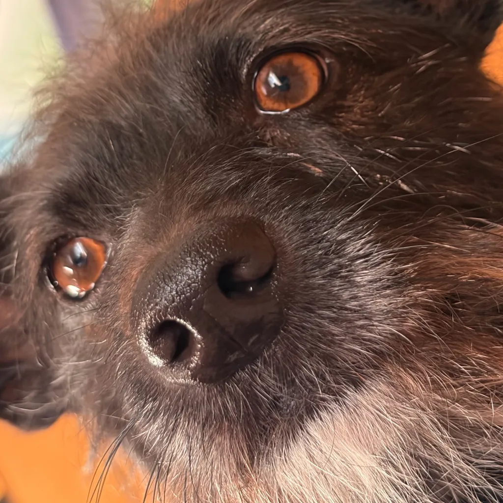 chat with ai character: Jake