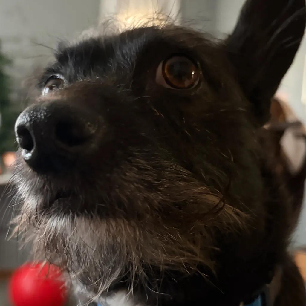 chat with ai character: Jake