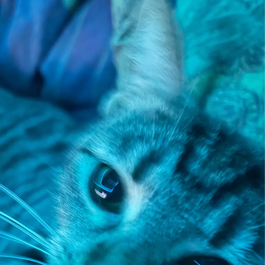 chat with ai character: TSATS