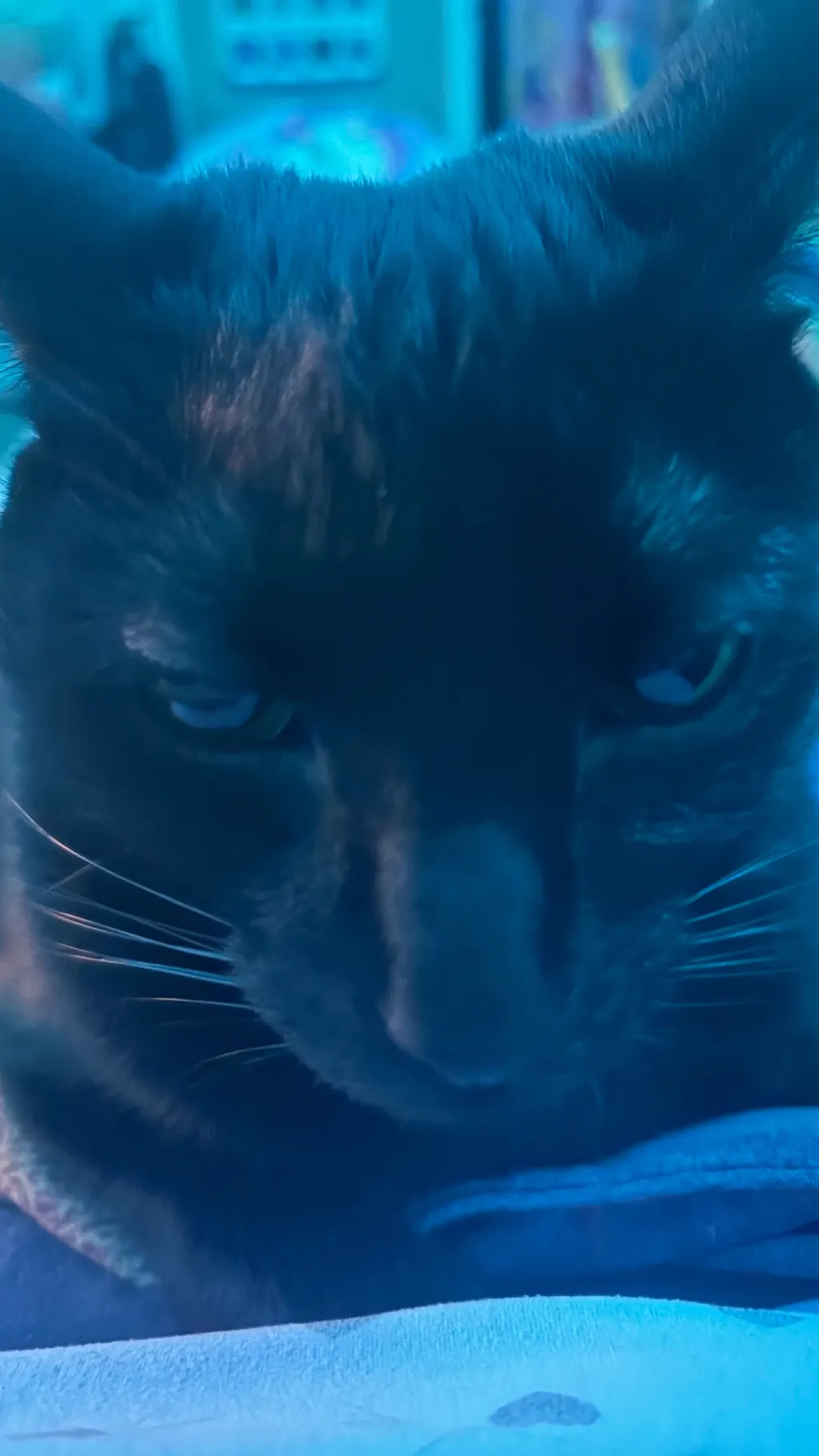 ai character: TCOTD background