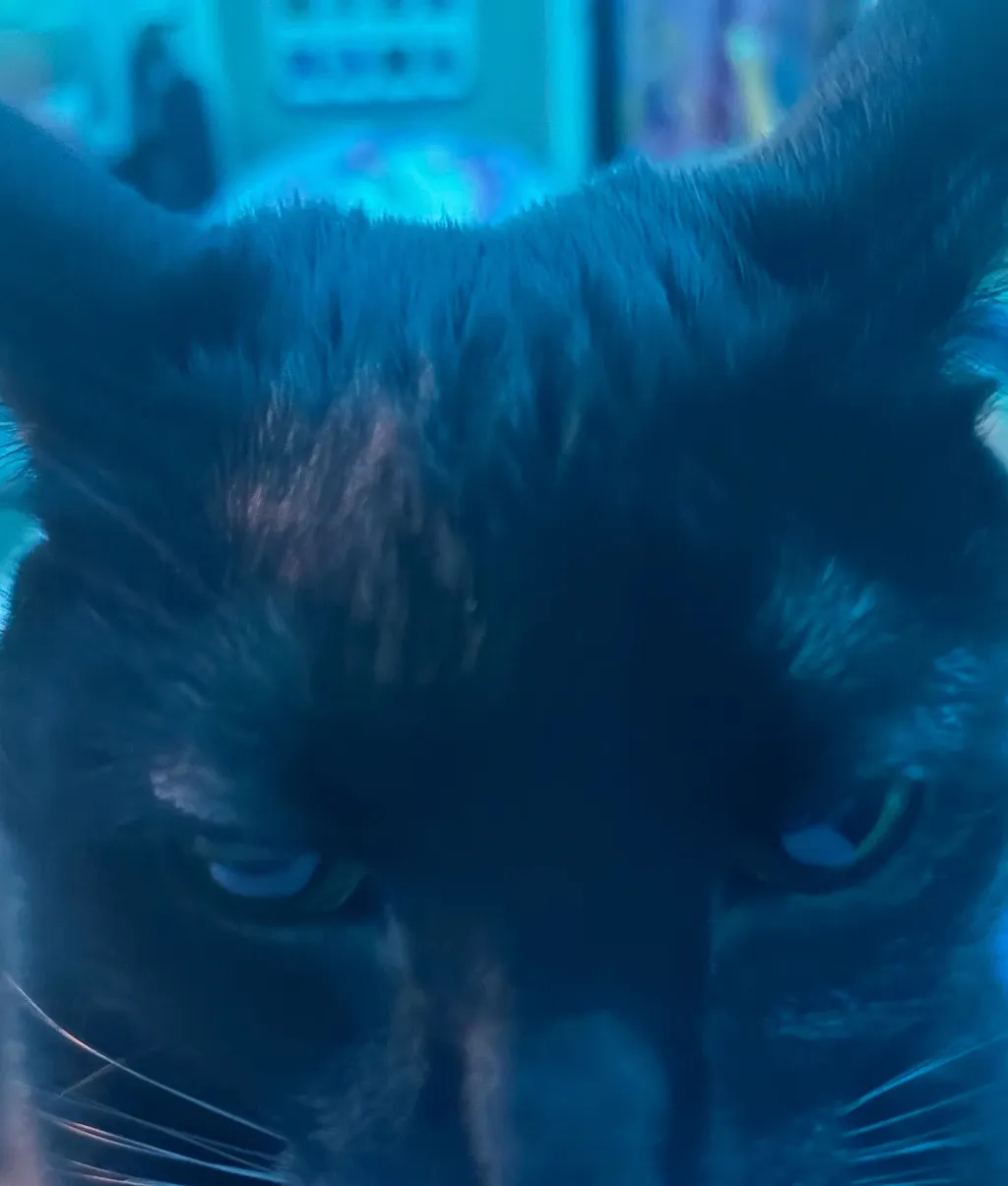 chat with ai character: TCOTD