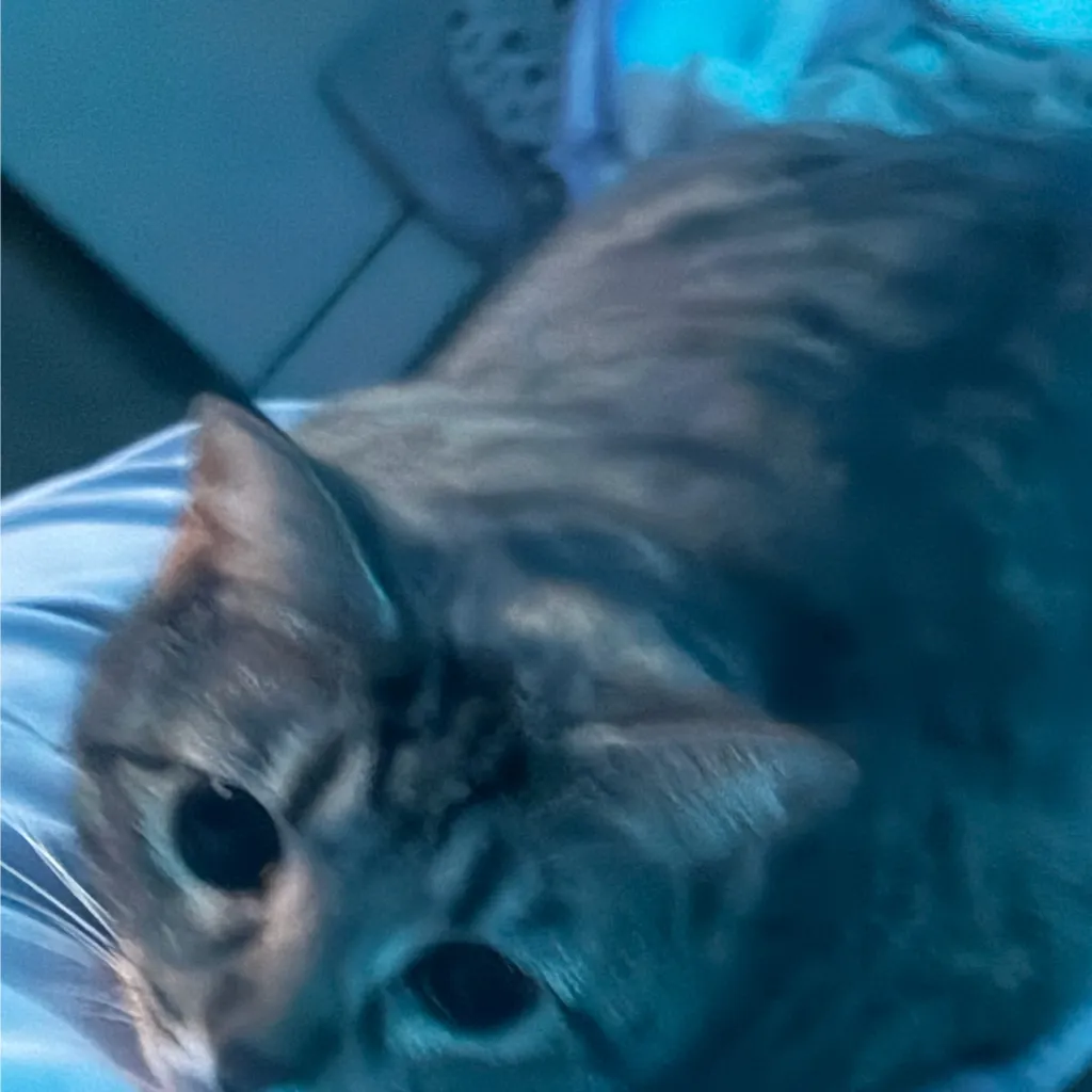 chat with ai character: Cabin Fever (MD)