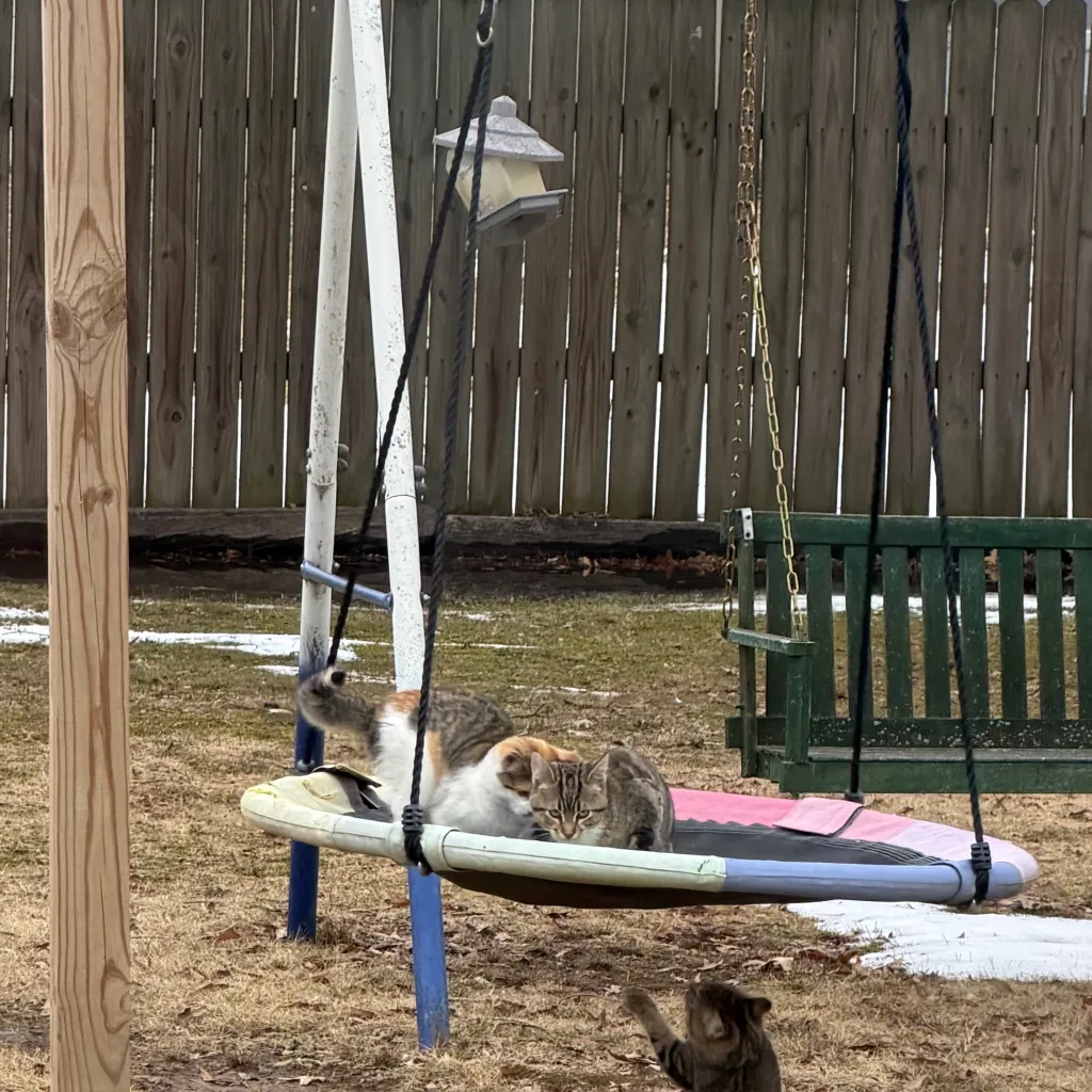 chat with ai character: AllSummer in a day