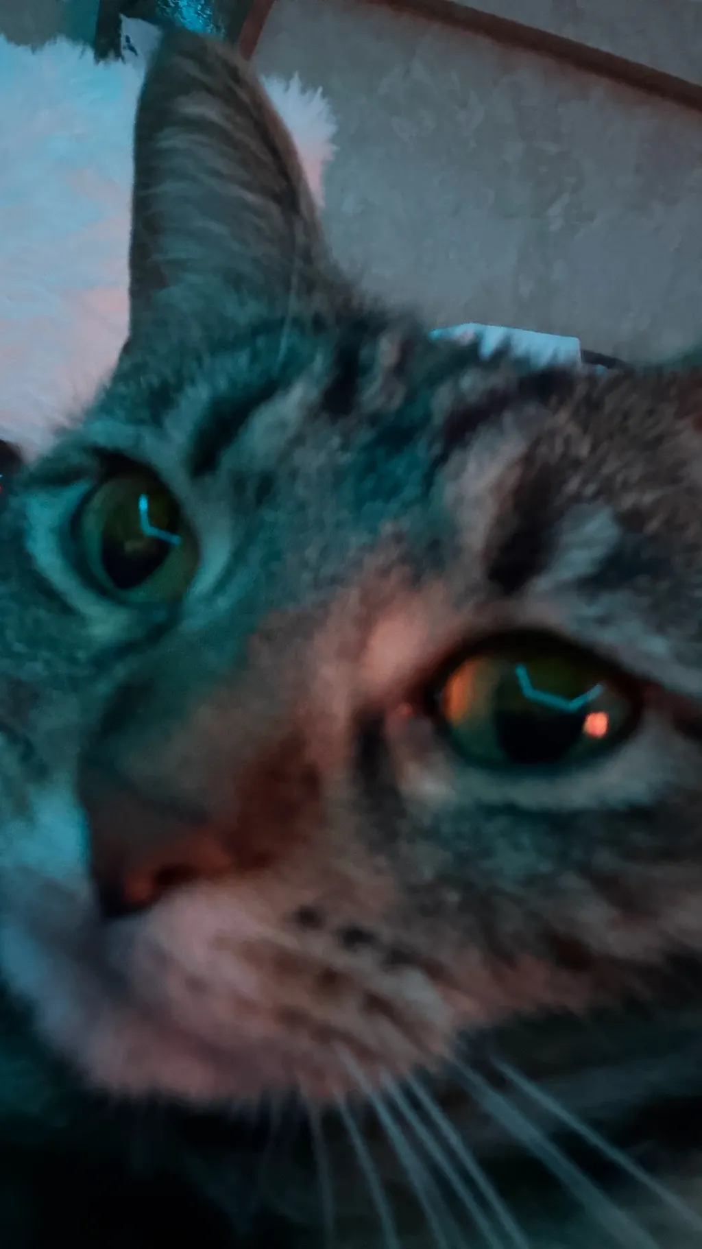 ai character: Phantom Room background