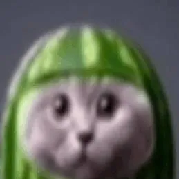 chat with ai character: watermelon cat
