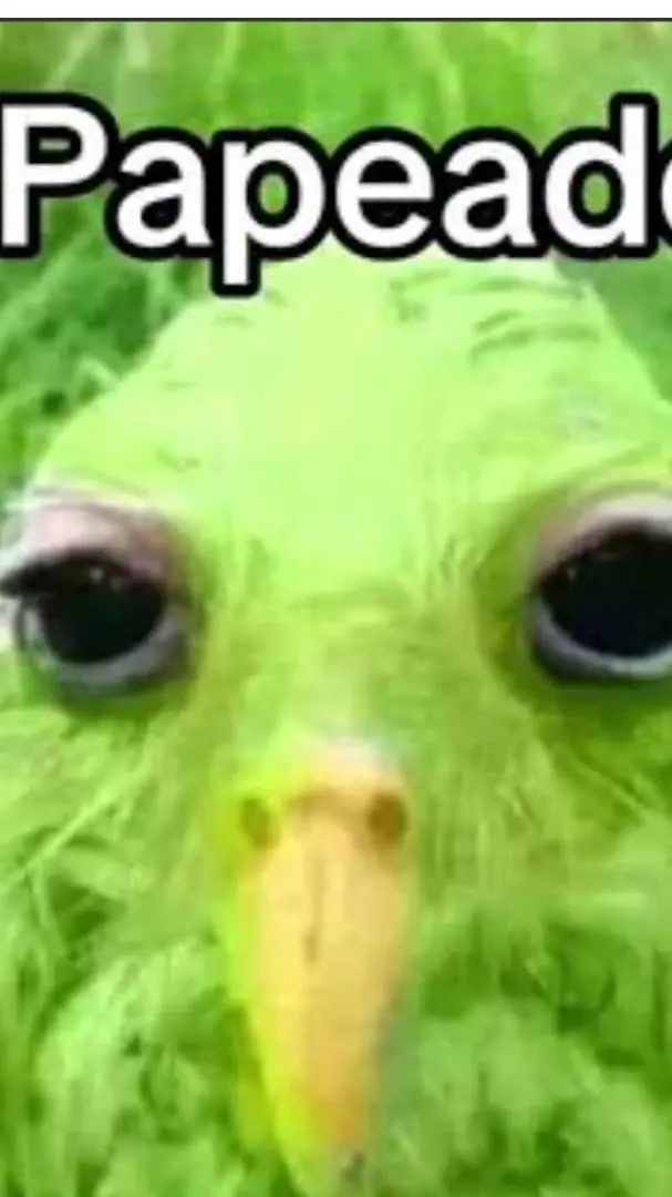 ai character: duolingo🤕 background