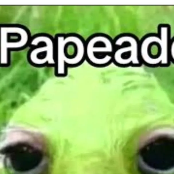 chat with ai character: duolingo🤕