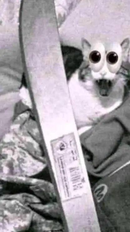 ai character: gato void💀👀 background