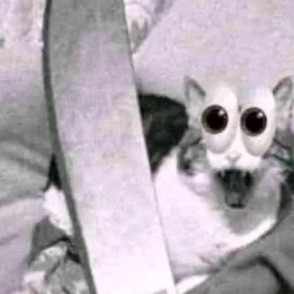 chat with ai character: gato void💀👀