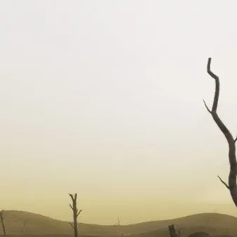 chat with ai character: Invincible