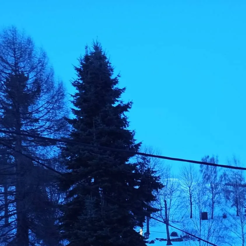 chat with ai character: Cod chill day