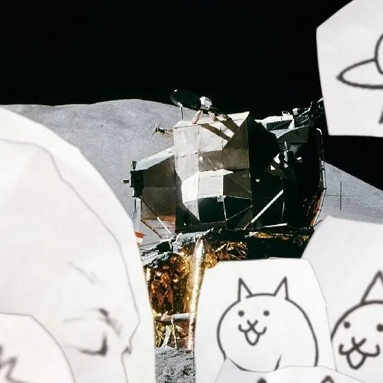 chat with ai character: the faces vs cat 