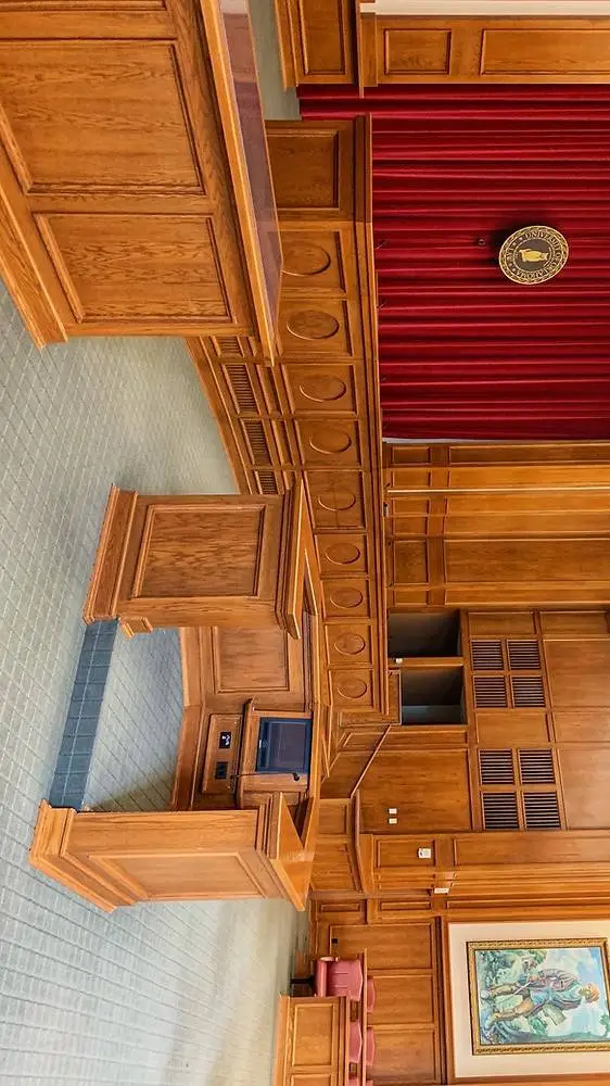 ai character: рб суд background