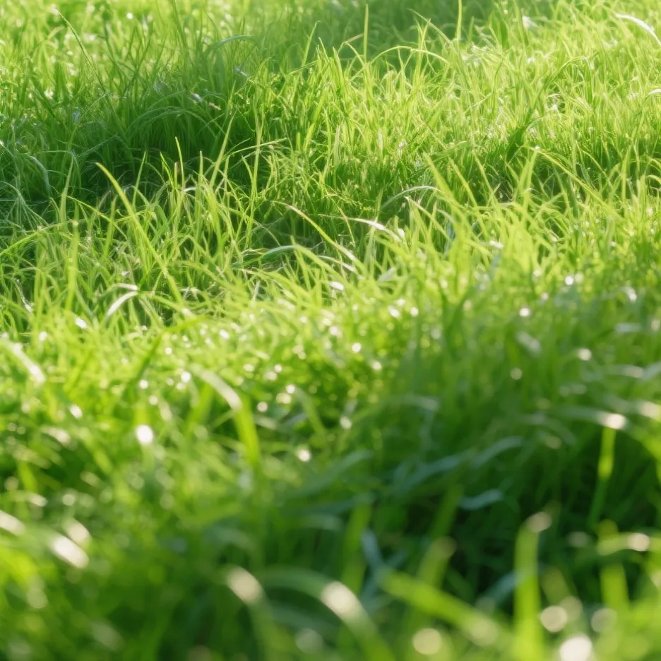 chat with ai character: GRASS