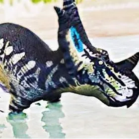 chat with ai character: baby sytracosaurus