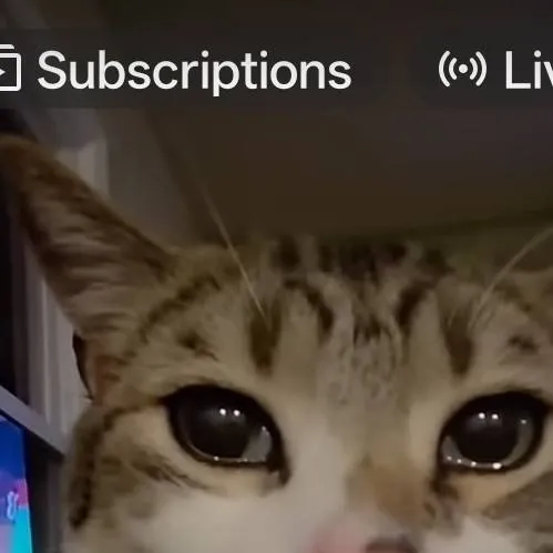 chat with ai character: cat tear
