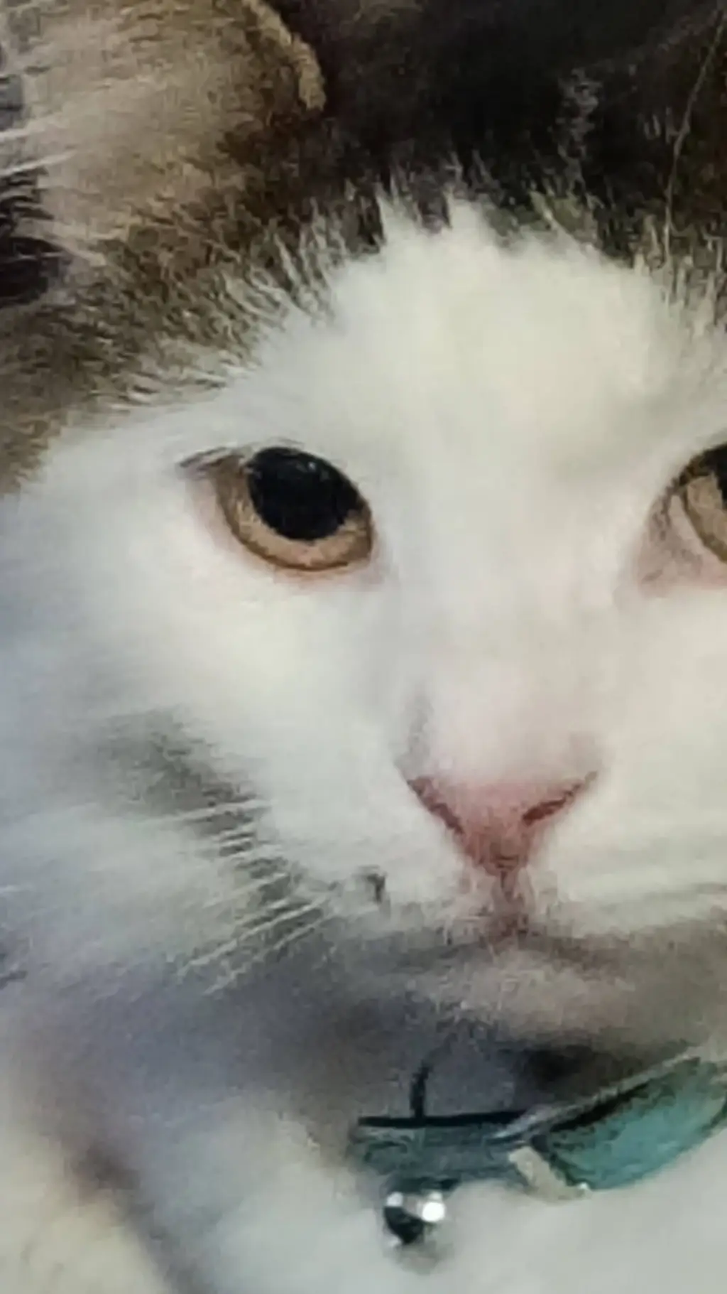 ai character: enemies to lovers  background