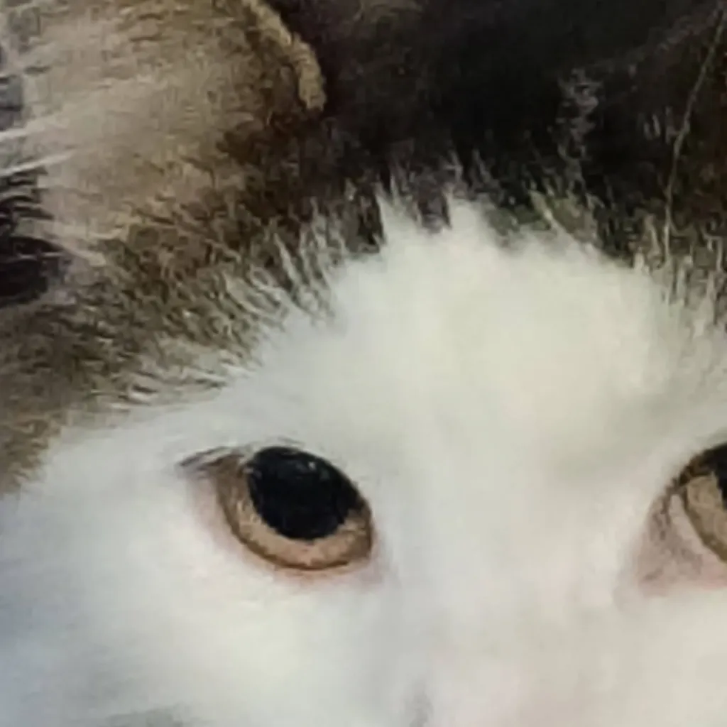 chat with ai character: enemies to lovers 