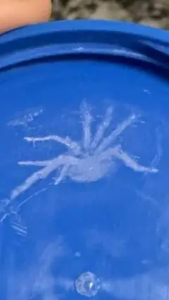 ai character: testing 1 background