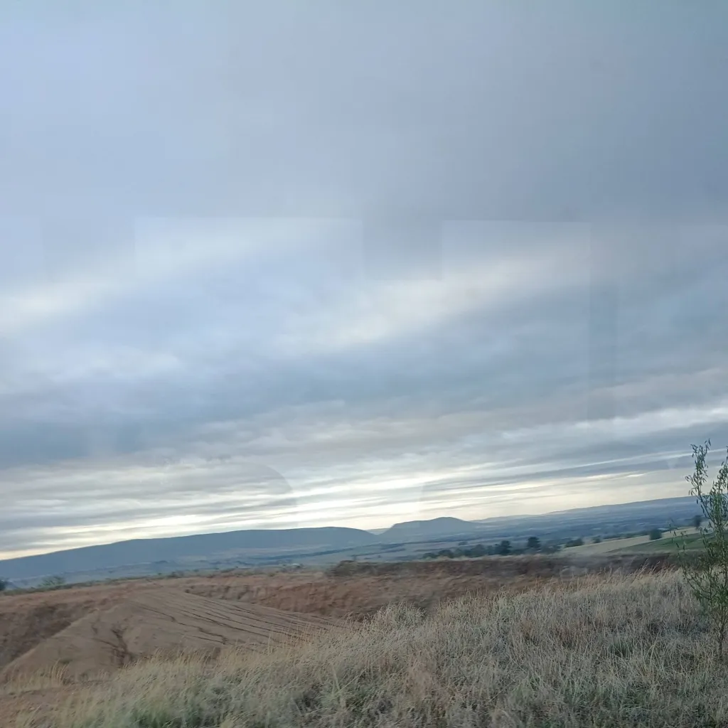 chat with ai character: greenethorpe bus