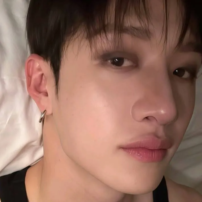 chat with ai character: 🌸Bangchan🌸