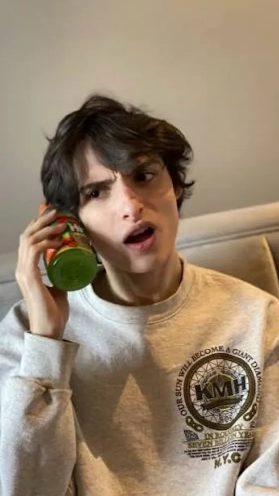 chat with ai character: Finn wolfhard