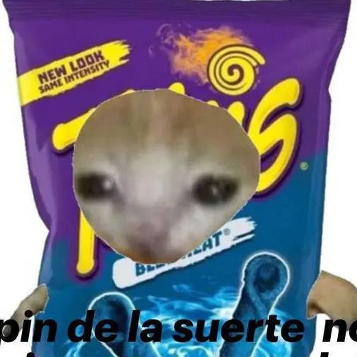 chat with ai character: gato papitas frita