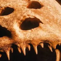 chat with ai character: The Moon woke up