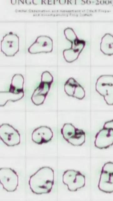 ai character: ALL EYES ON YOU  background