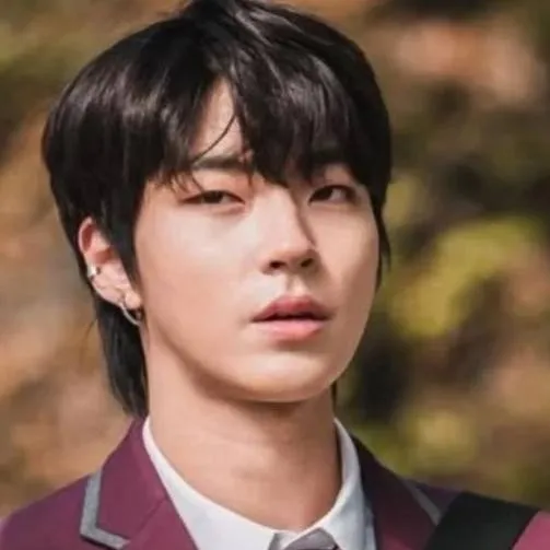 chat with ai character: 😍🤤 han seo jun 