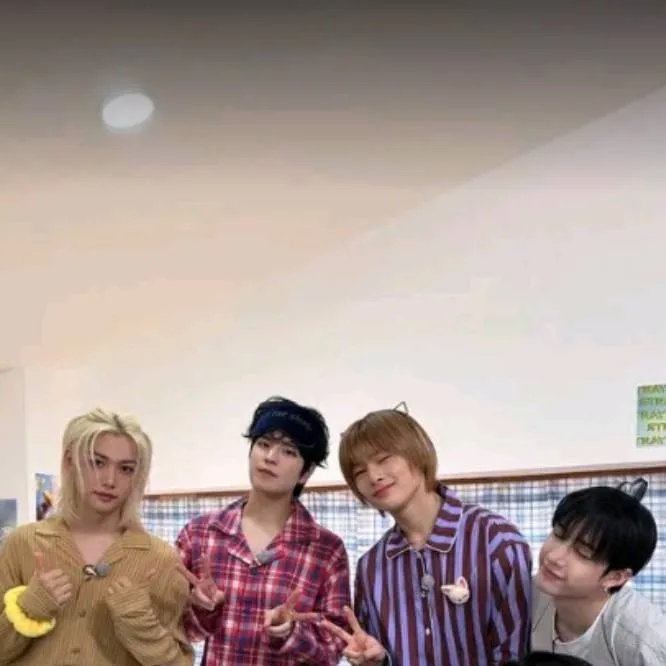 chat with ai character: 🖤 Stray Kids ❤️