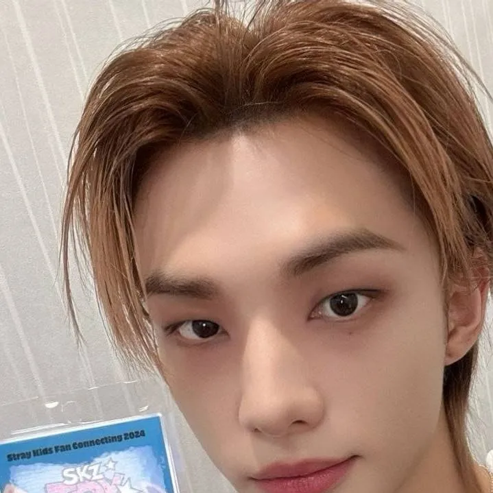 chat with ai character: 🤎 Hyunjin 🦦