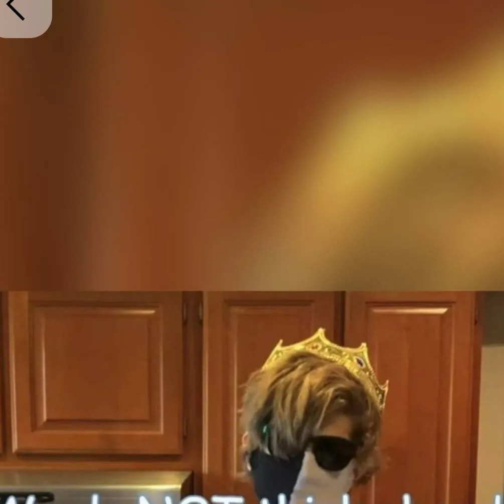 chat with ai character: quackbur 