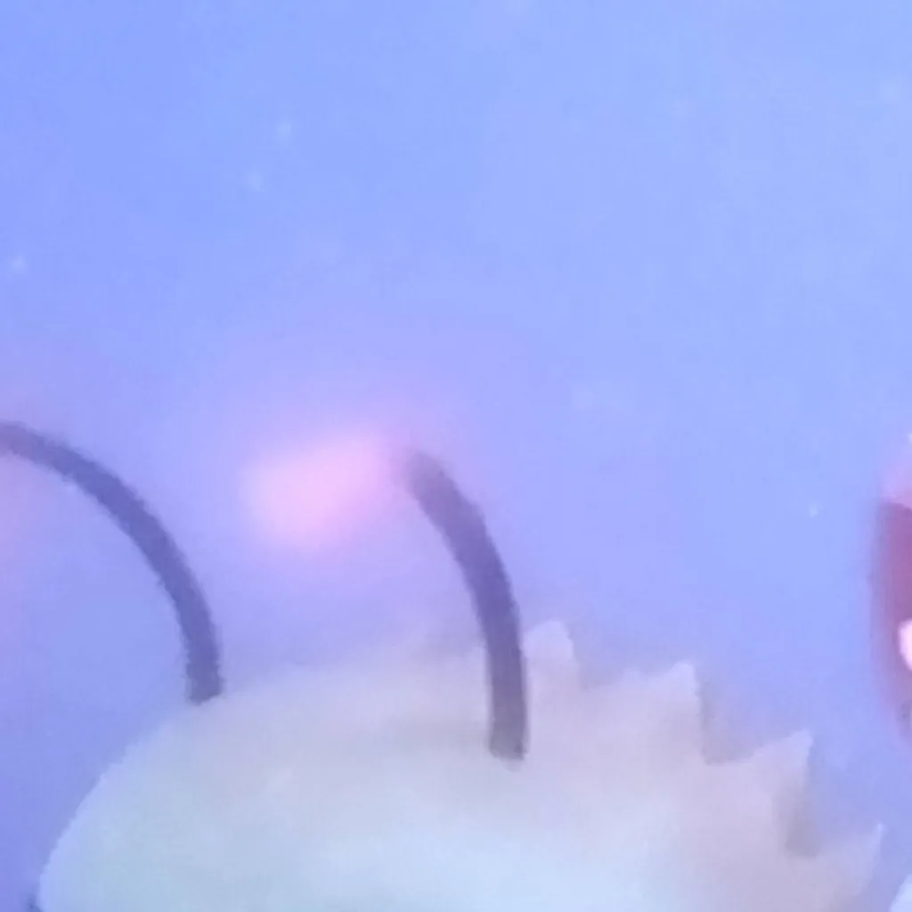 chat with ai character: moth sulky👿🥺😂🖤🤬