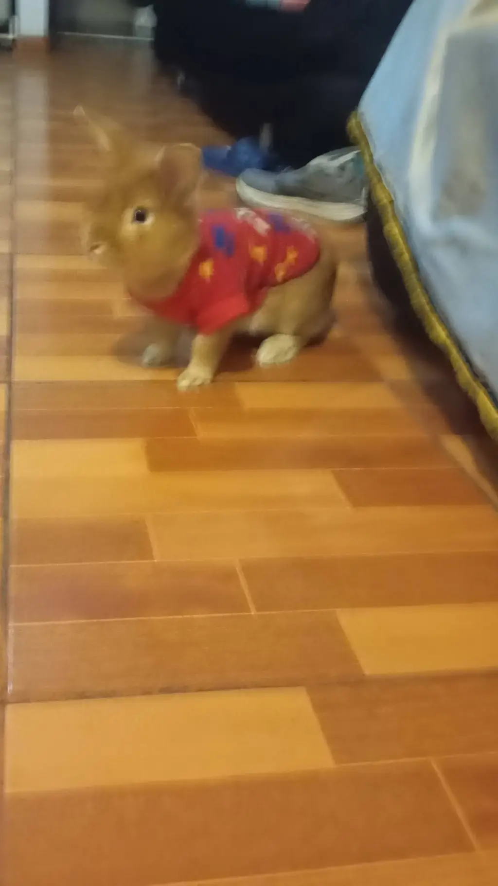 ai character: juanito background